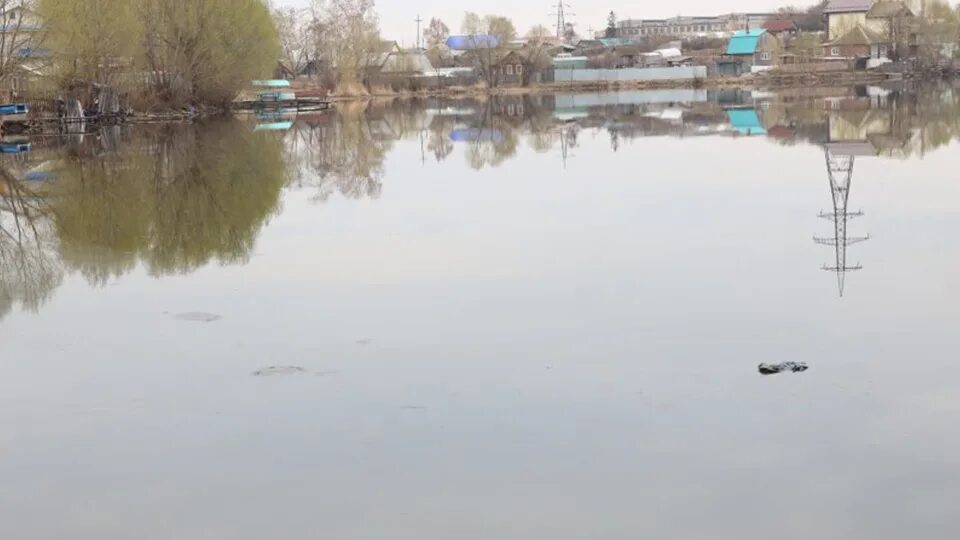 Пруд разливается. Кыштымский городской пруд. кыштым пруд. нижне кыштымский пруд. пруд нижний кыштым.