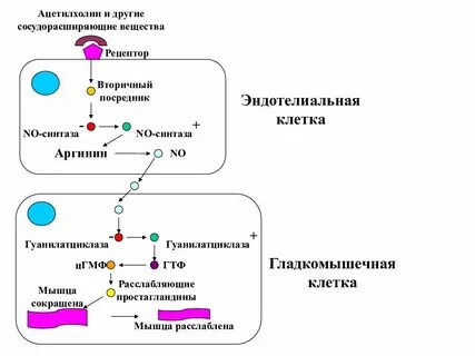 Действие ц