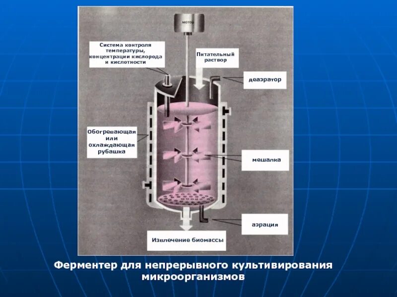 Биореактор ферментер Solaris m50. Ферментер для культивирования микроорганизмов схема. Ферментер для непрерывного культивирования. Биореакторы для глубинного культивирования микроорганизмов. Извлечение кислорода из воды