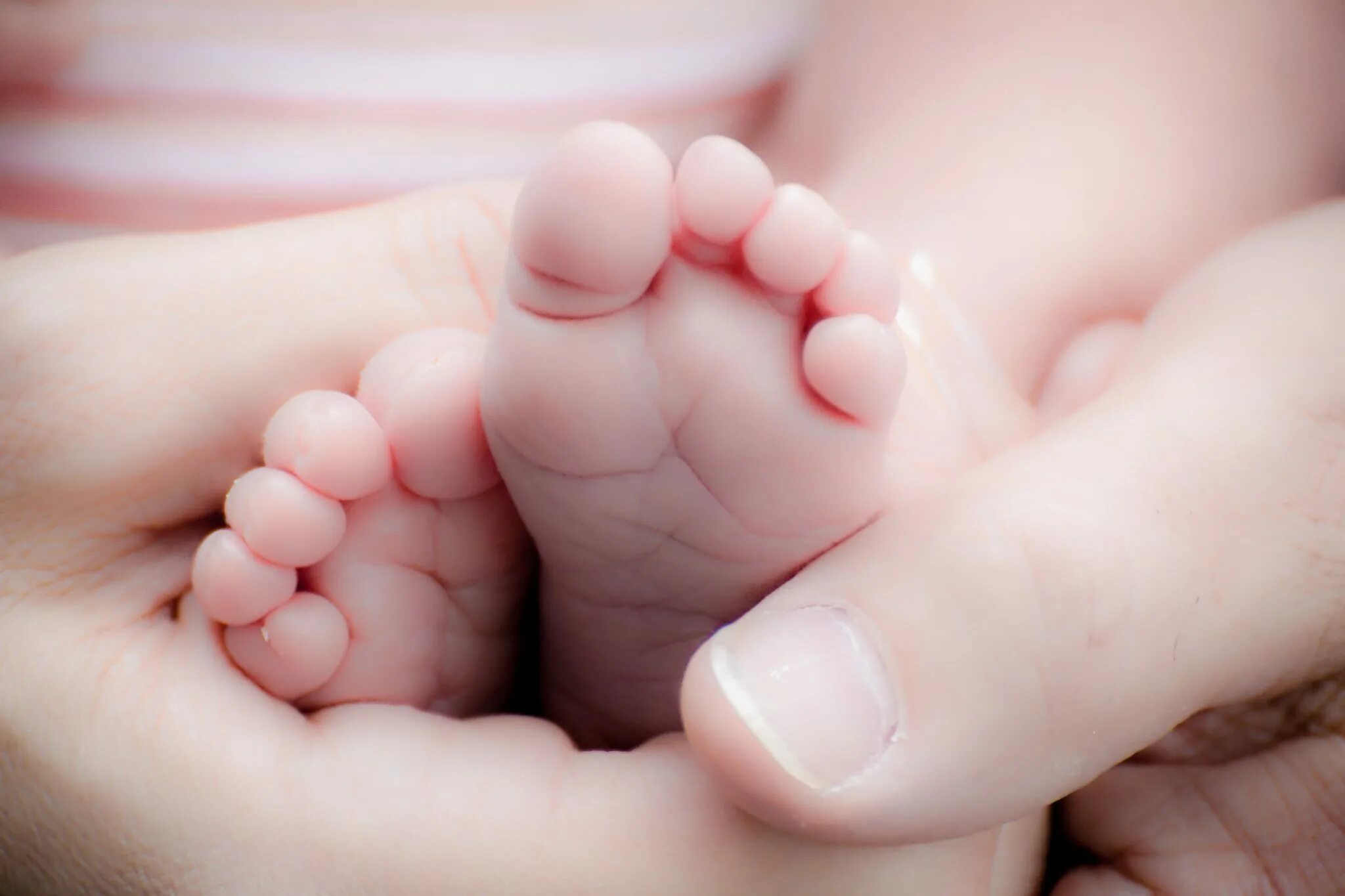 Ножки малыша. Ножки новорожденного ребенка. Пяточки младенца. Ножки ребенка в руках. Mom's hand