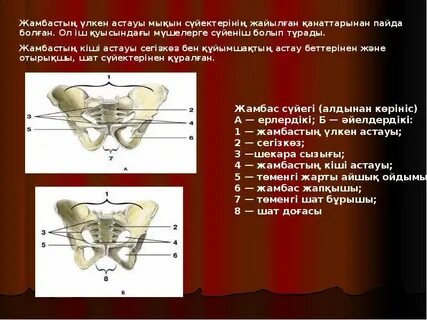 Клубта кеуделер құлап кетті