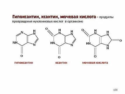 Мочевая кислота продукты