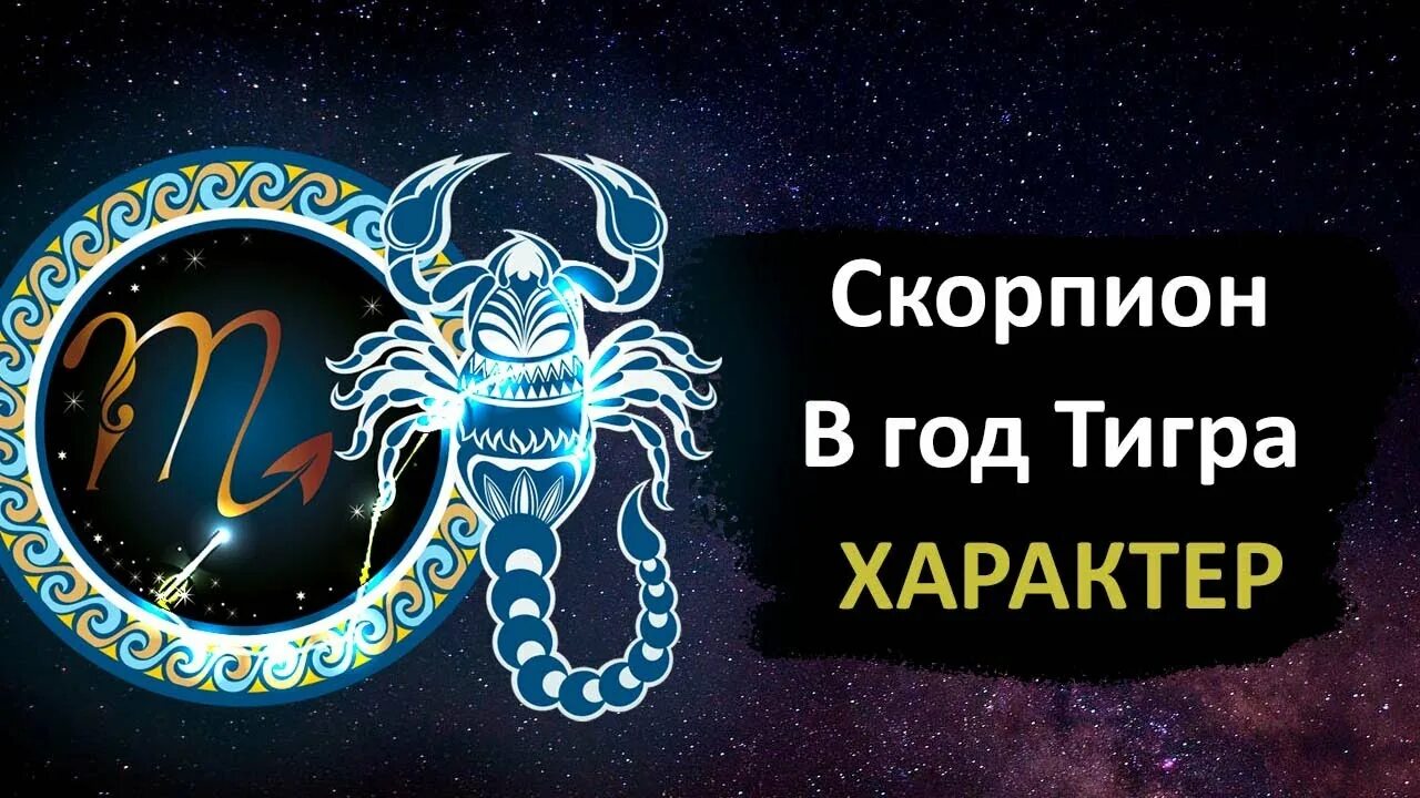 Гороскоп скорпиона тигр. Тигр Скорпион. Тигровый Скорпион. Тигр Козерог. Тигр Скорпион мужчина.