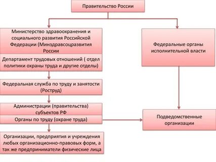 Органы исполнительной власти в здравоохранении