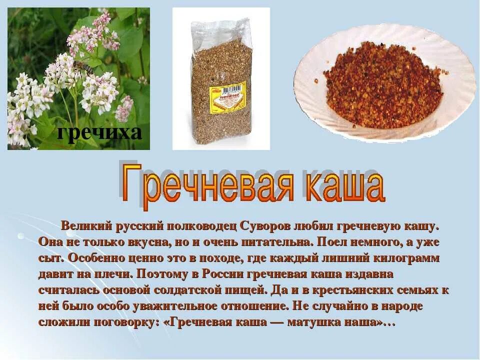 Гречневая мука из крупы. Гречиха - гречка гречневая каша. гречневая каша описание для детей. информация о гречке. сообщение о гречневой каше.