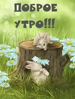 Доброе утро картинки прикольные новые смешные 2023