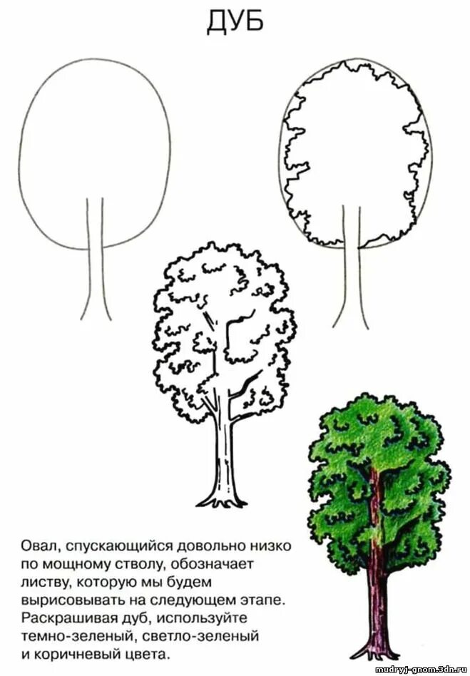 Деревья рисунок карандашом поэтапно. Поэтапное рисование дерева. поэтапное рисование дерева для детей. поэтапное рисование дуба. дерево рисунок карандашом поэтапно.