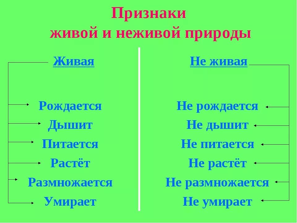 2 неживая природа это. Отличия живой и неживой природы. Признаки неживой природы 2 класс. Чем отличается Живая природа от неживой природы. Отличие живой природы от неживой 2 класс.