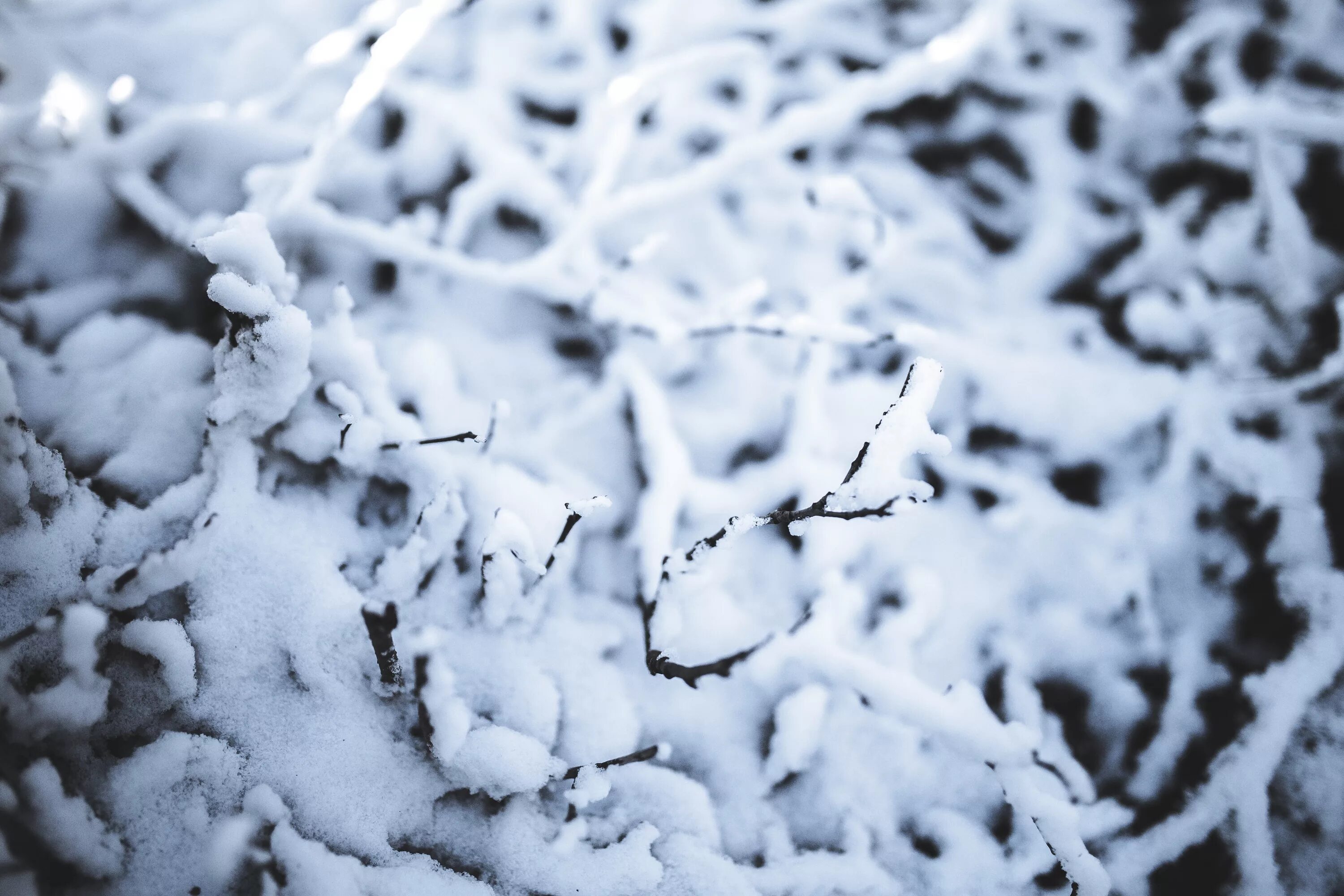 Хлопья снега. Холодный снег. Зима холода. Белый холод. Cold and snowy