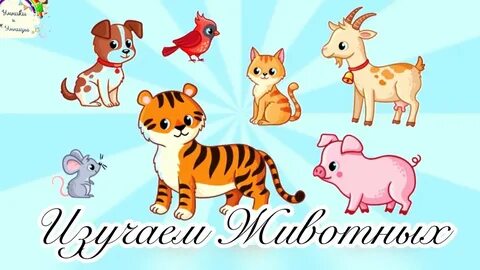 Учим животных 1 год