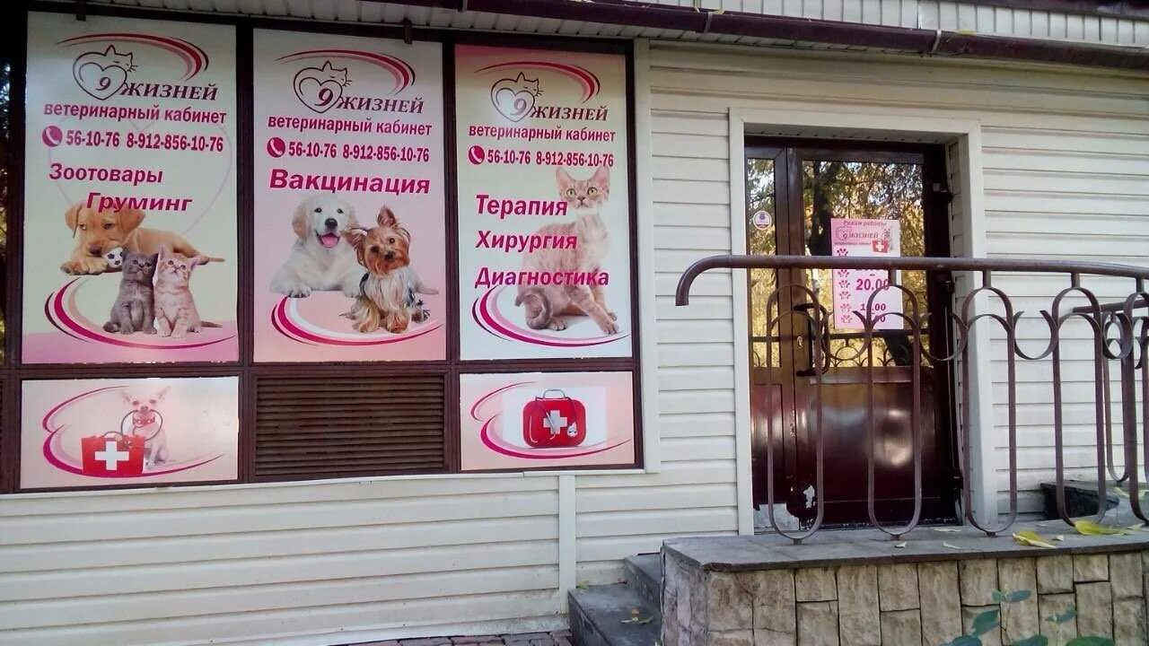 Режим работы ветеринарной клиники ижевск. Гуфи ветклиника ижевск. Режим работы ветеринарной клиники ижевск. Молодёжная 34 ижевск ветклиника. Первомайская ветклиника.