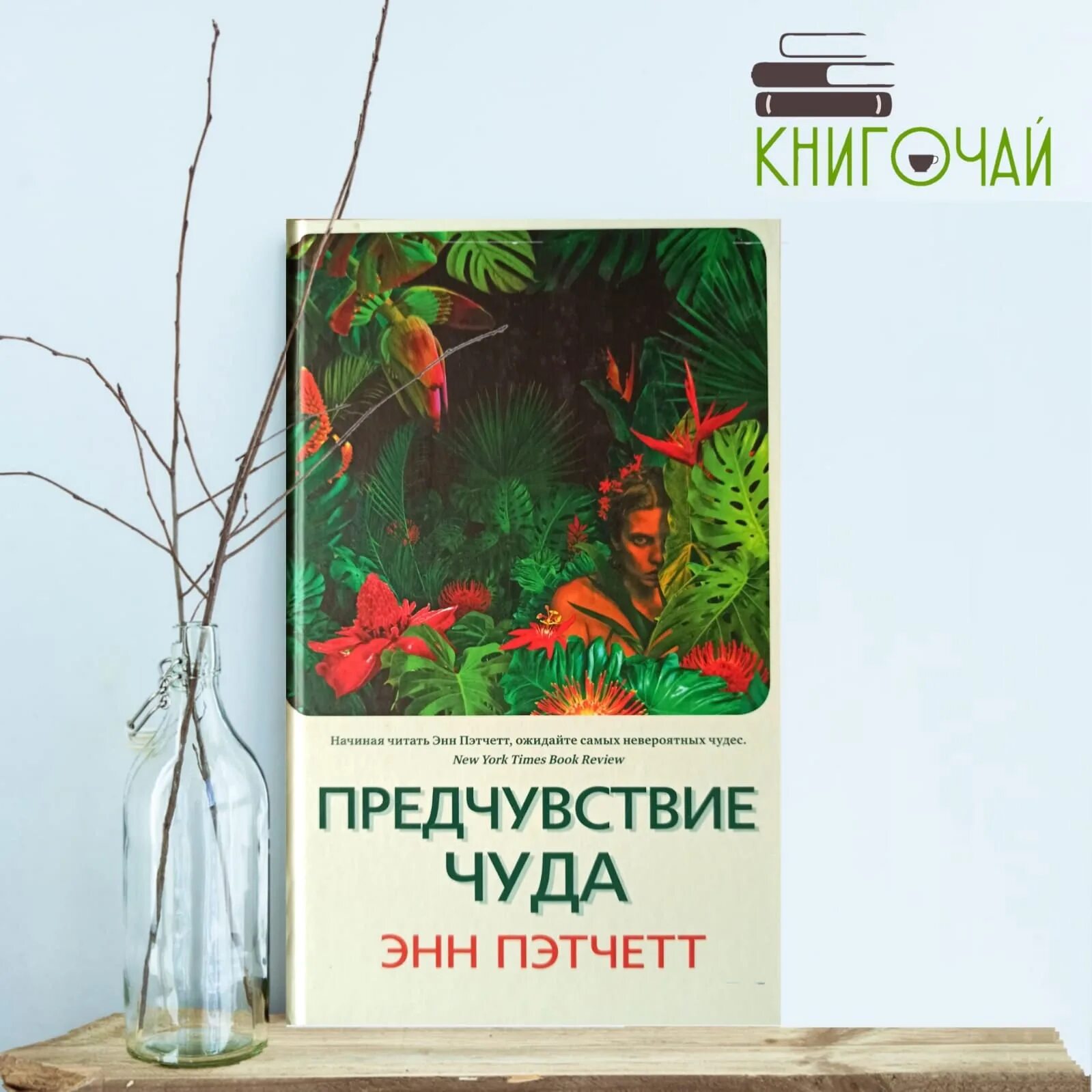 Предчувствие чуда книга. Энн пэтчетт книги. Аннотация книги предчувствие чуда автор энн пэтчетт. На пороге чудес энн пэтчетт. Пэтчетт э.