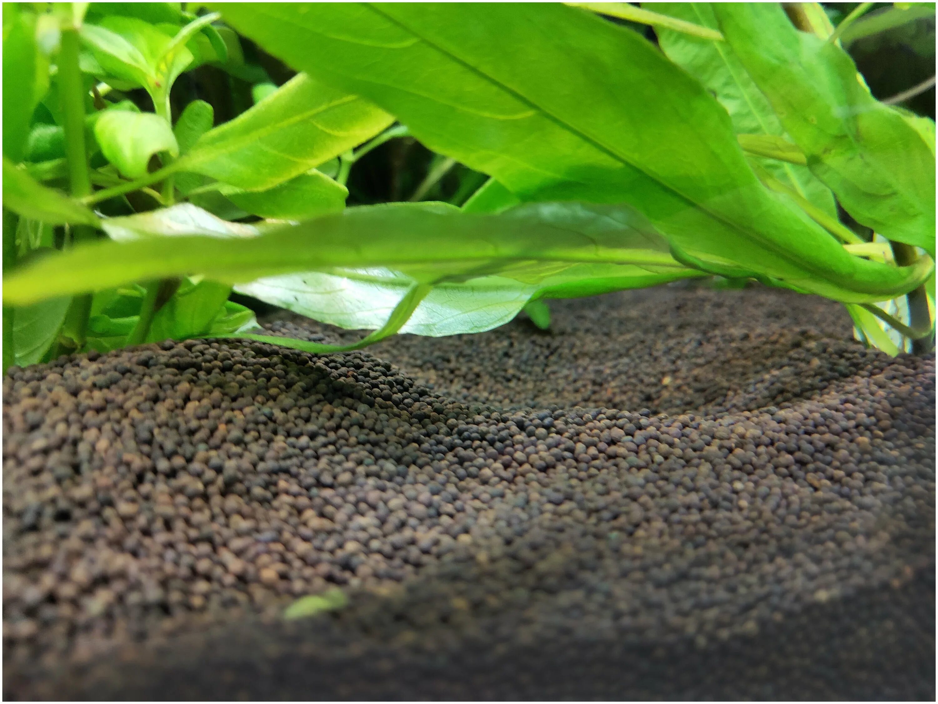 грунт пропант для аквариума отзывы. пропан грунт для аквариума. пропант для аквариума сертификат качества. аквариумный грунт пропант. грунт пропант для аквариума отзывы.