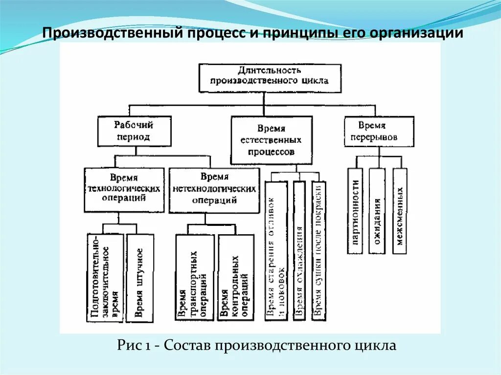 Организация технологических циклов. Производственный процесс и принципы его организации. Структура производственного процесса на предприятии. Схема структуры производственного процесса. Схема производственного процесса предприятия.