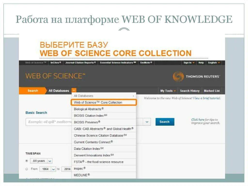 Web of science автор. Web of Science Core collection. Web of Science база данных. Платформа web of Science. Web of Science поиск.