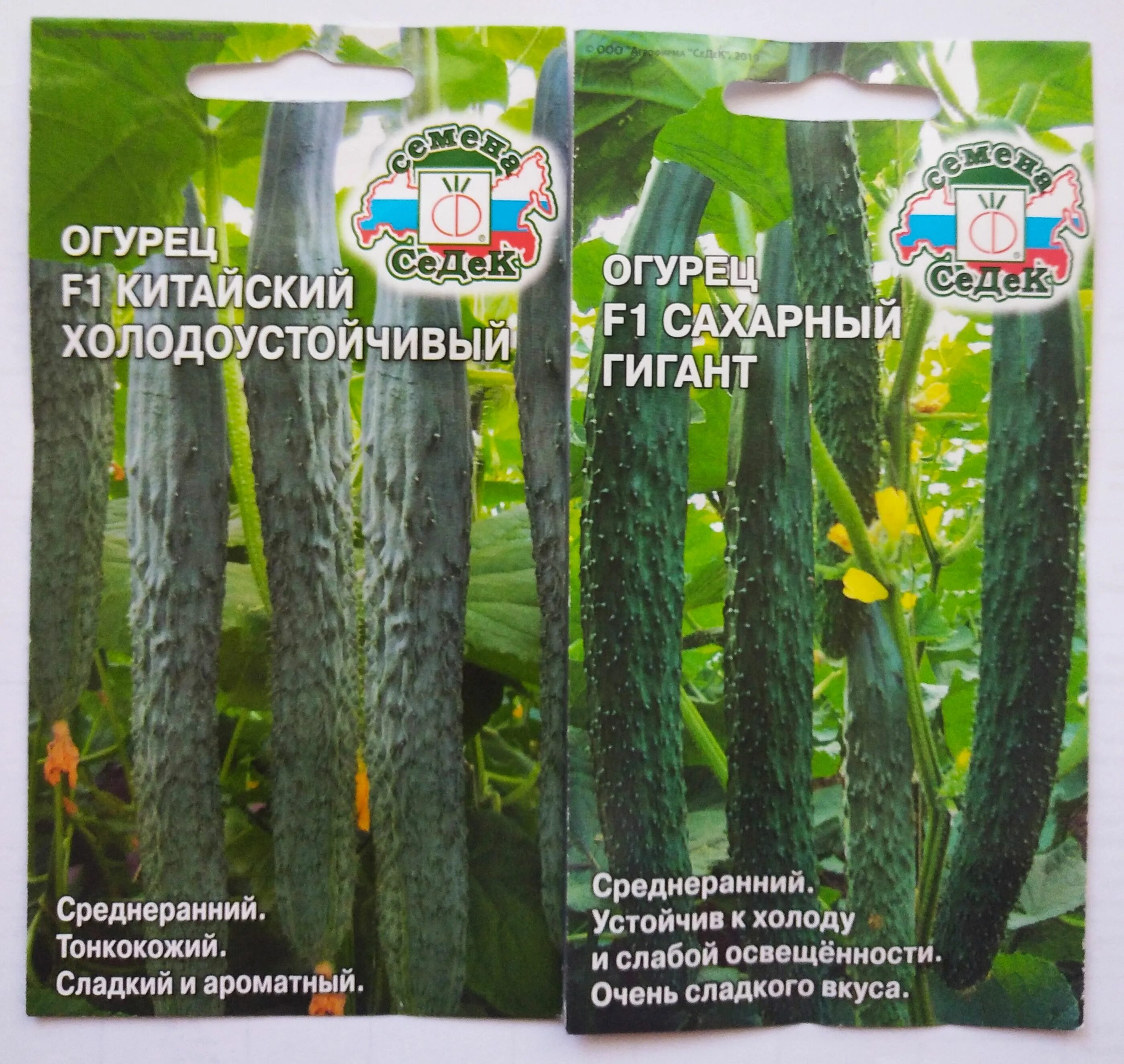 2г. Семена китайских огурцов. Китайские огурцы f1. Китайские огурцы семена. Огурец китайский жароустойчивый 0,2г.