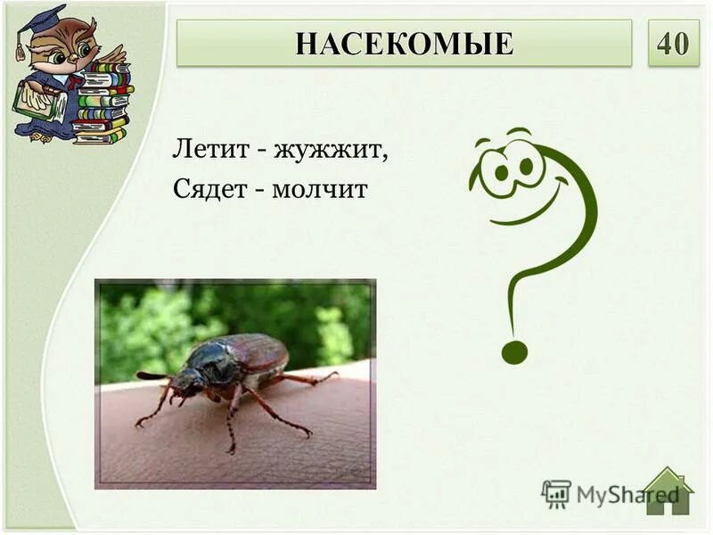 Не зверь не птица а нос как спица. Летит молчит сядет молчит. Летит молчит сядет молчит. Летит кричит сядет молчит кто его убьет тот свою кровь прольет. Летит молчит сядет молчит.