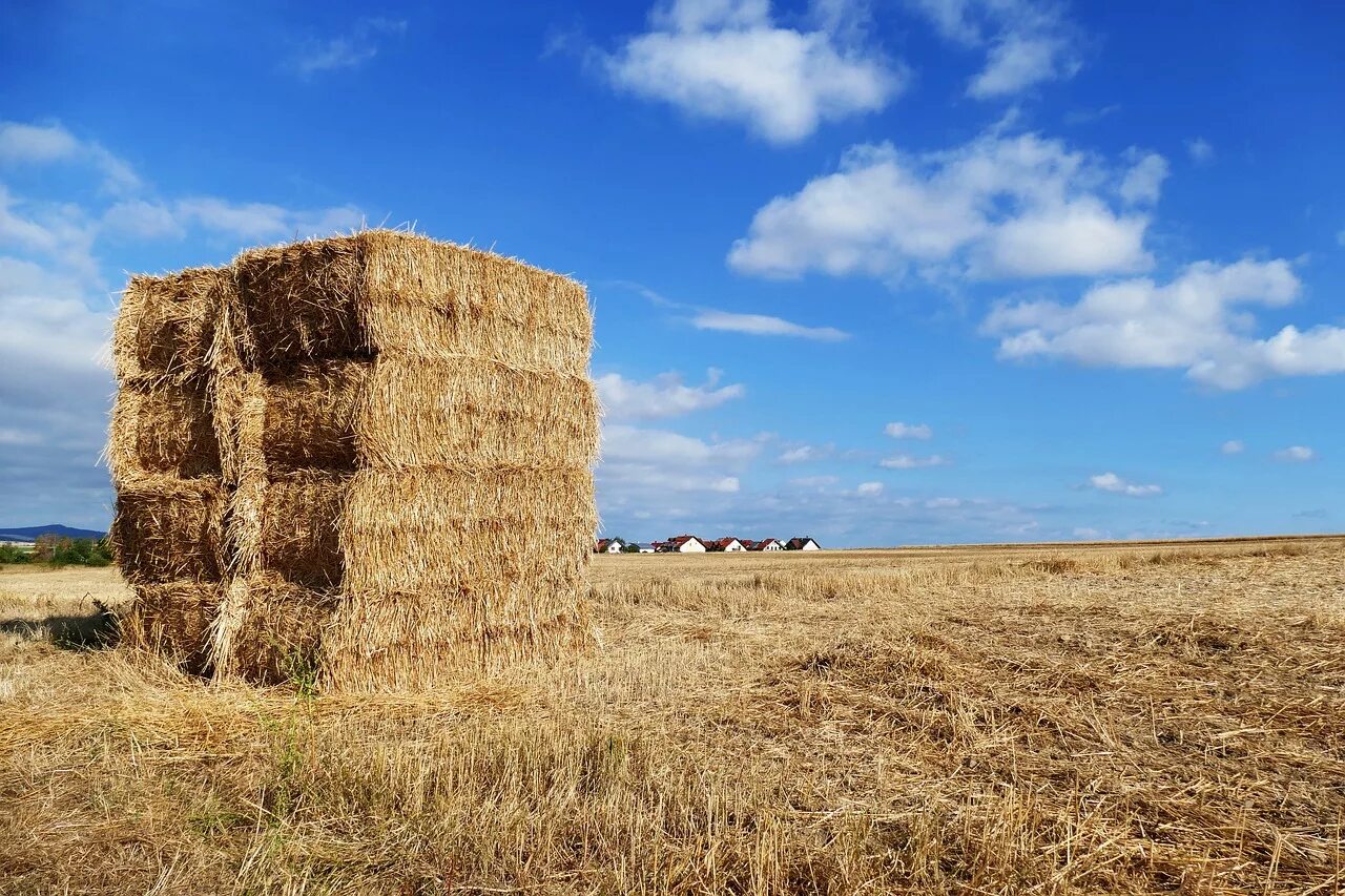 Straw
