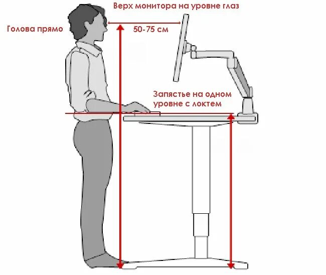 Высота стоячего стола. Высота стола для работы стоя. Оптимальная высота рабочего стола. Эргономичная высота для стола стоя.