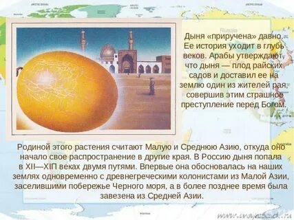 Происхождение дыни