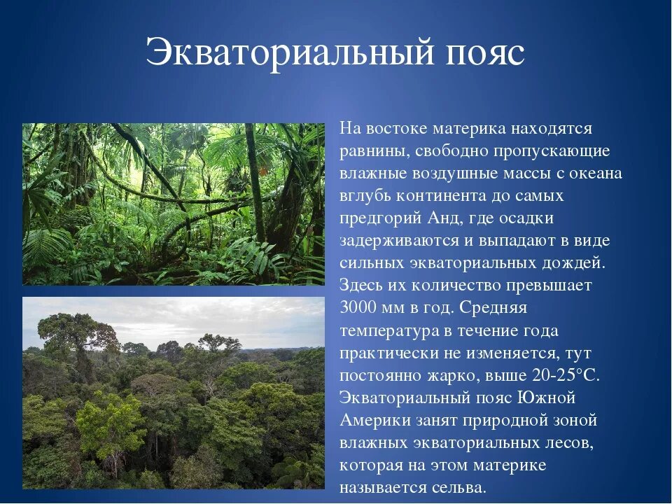 Тропический пояс 6 класс география. Экваториальный и субэкваториальный пояса Южной Америки. Субэкваториальный климатический пояс Америки. Субэкваториальный климат Южной Америки характеристика. Климат экваториального пояса Южной Америки.