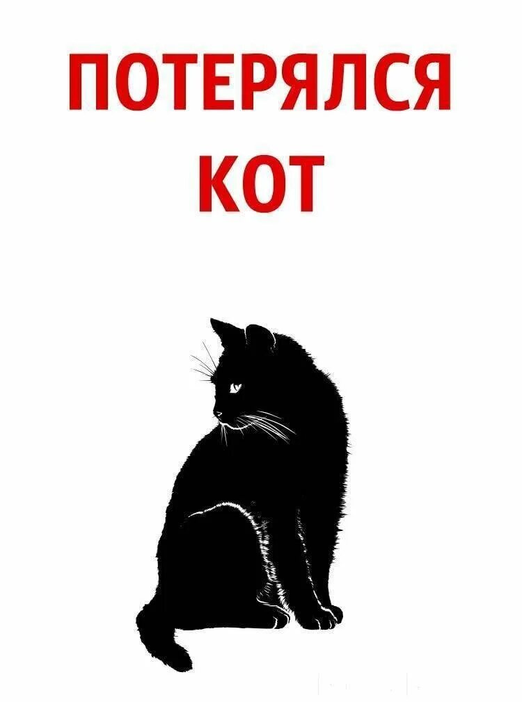 Включи коты нету