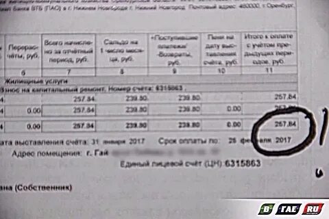 Ои в квитанции