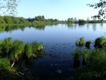 Сеймовский затон