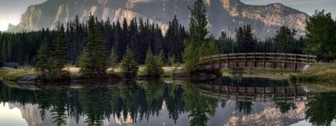 Включи видео природы высоко