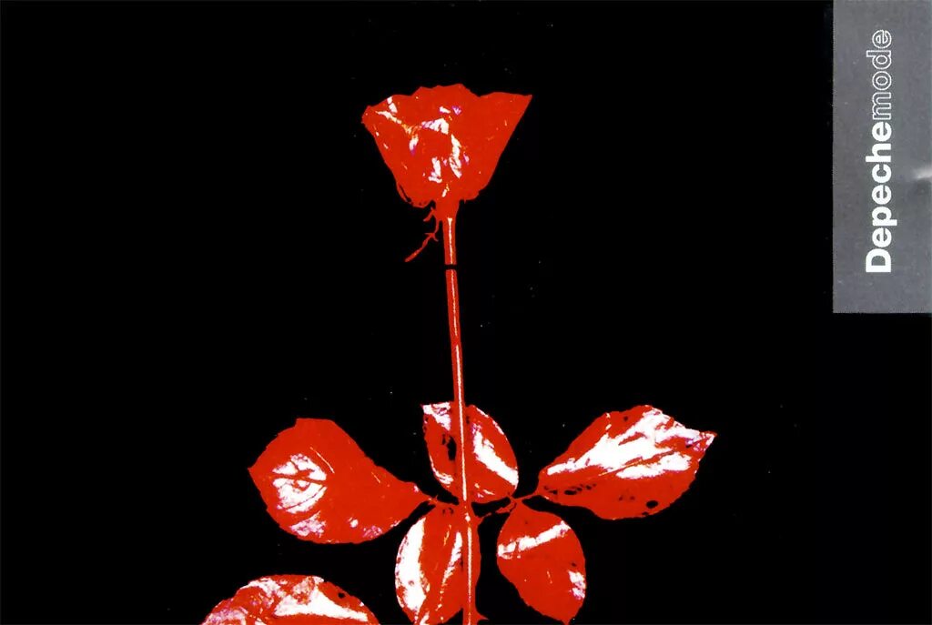 Депеш мод enjoy. Роза вайолейтер депеш мод. depeche mode &quot;violator&quot;. depeche mode violator вектор. depeche mode 1991 violator.