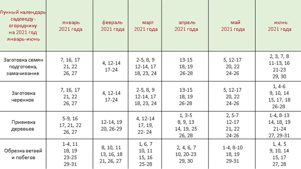 Лунный календарь 2021 огородника посадка рассады. Лунный календарь на 2021 год садовода и огородника. Лунный календарь посевной на 2021 садовода и огородника. Лунный календарь огородника на 2021 посевной на 2021 год садовода. Посевной календарь можно