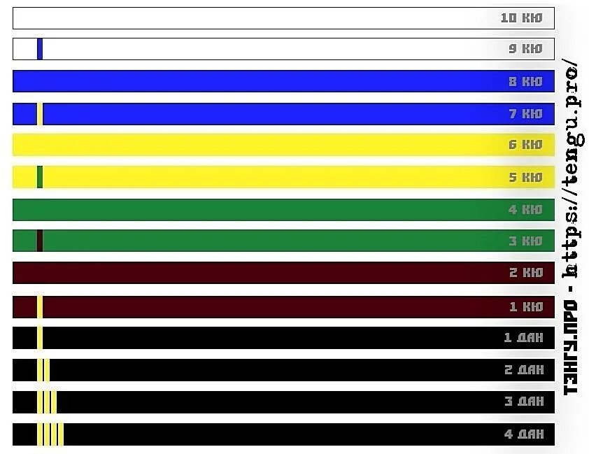 Пояса в карат. Цвета поясов в каратэ Кекусинкай по порядку. Каратэ киокусинкай пояса по порядку цвета. ПОЯА карате Кёкусинкай. Цвета поясов в каратэ Кекусинкай.