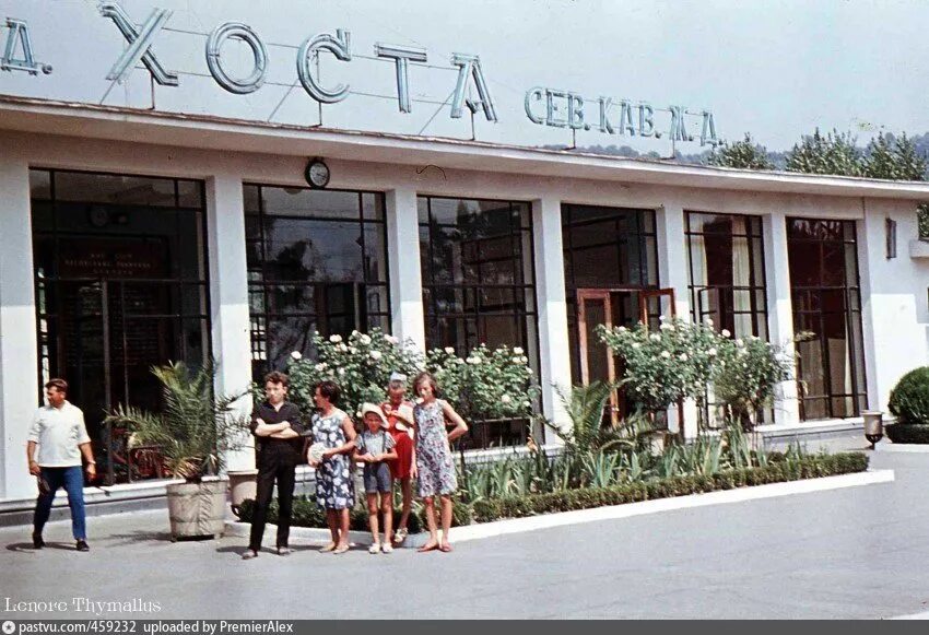 Школы в хосте
