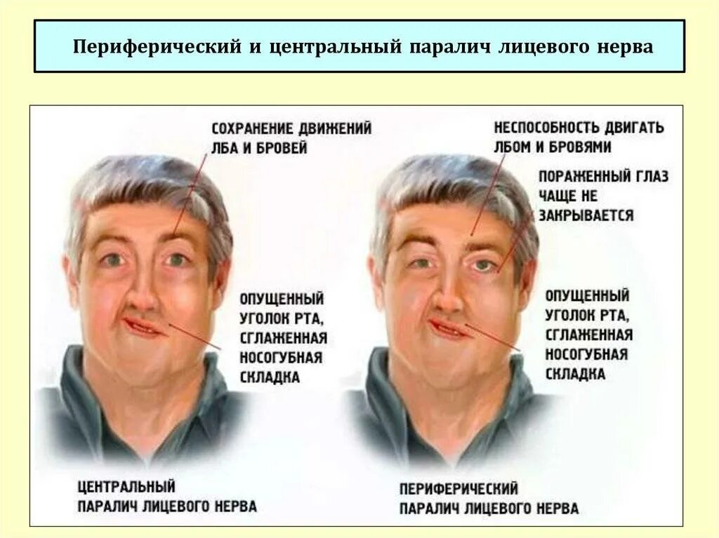 Лица владеющие и пользующиеся