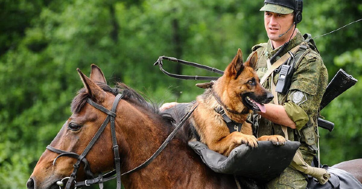 Служба дозор. Пограничник на лошади. Пограничные войска. Пограничники России. Военный пограничник.