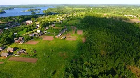 Погода прискуха