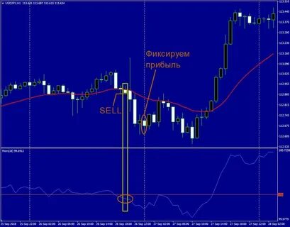 Доход стратегии