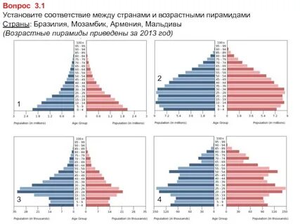Основание половозрастной пирамиды