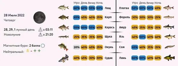 Прогноз клева в ульяновске. Прогноз клева на 2025 год. прогноз клева рыбы на март 2025 год в рк. прогноз клева клева тюмень. фазы луны и клев рыбы таблица.