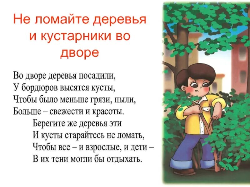 Почему нельзя в саду. Берегите деревья. ломать деревья. не ломать деревья. нельзя ломать деревья в лесу.