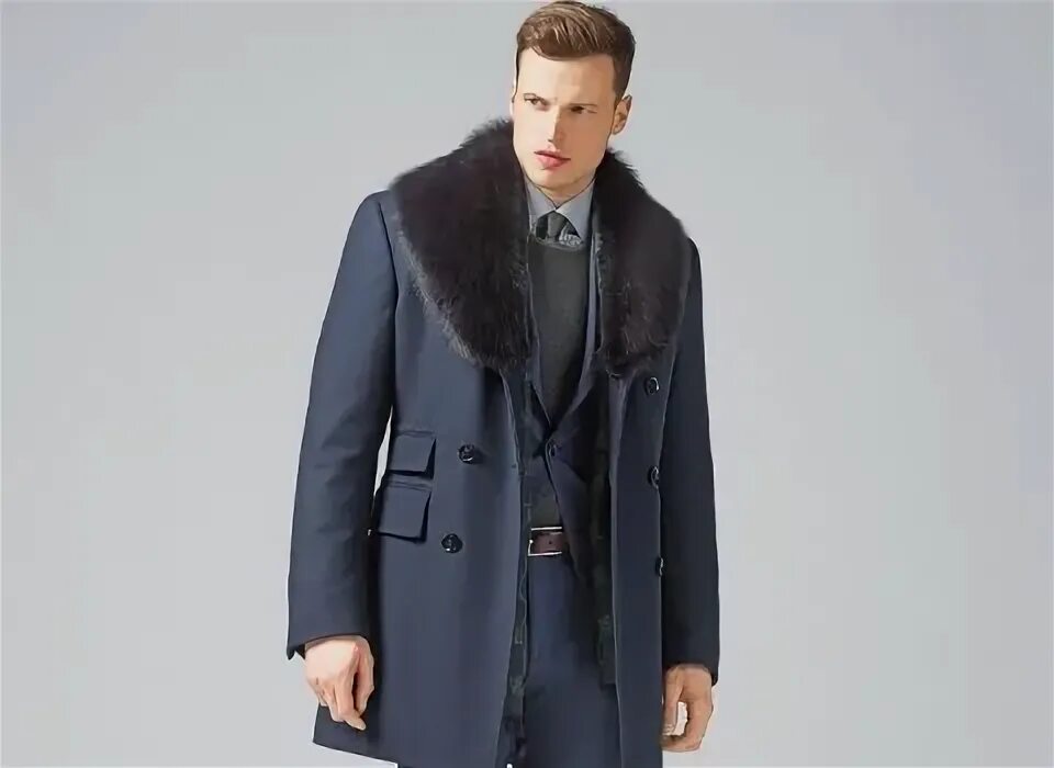 Пальто сударь мужское. Сударь мужские полупальто. Сударь пальто мужское зимнее. Сударь мужская одежда пальто зимнее мужское.