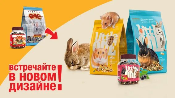 Литлван форум в десять быть