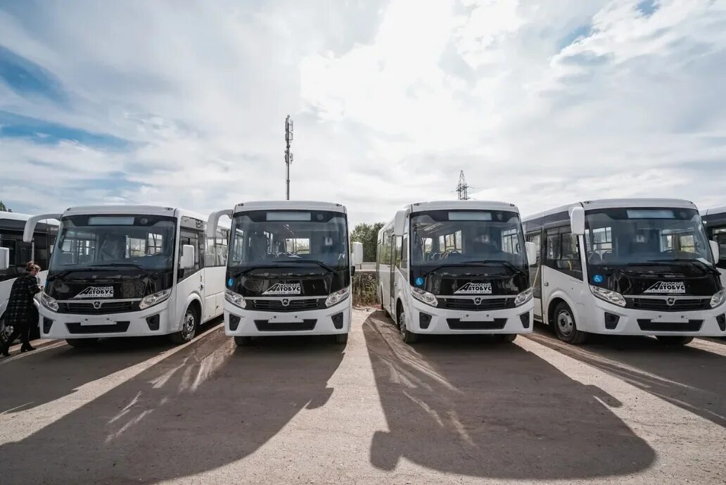 Атп 1 2. Атп 1 воронеж. ооо &quot;атп 1&quot;. новые автобусы. паз вектор некст воронеж.