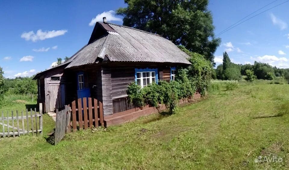 Марево Новгородская область. С Марева Новгородская обл. Дом в Новгородской области. Дачные места в Новгородской области. Авито вакансии новгородской области