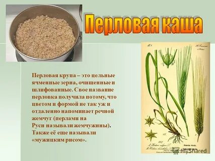 Какие крупы делают из перловой крупы