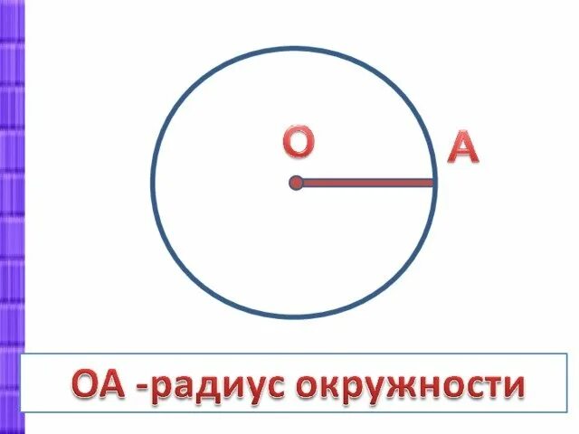 Радиус математика 5. Окружность. Окружность круг 3 класс. Что такое радиус окружности 3 класс. Рисунок по теме окружность.