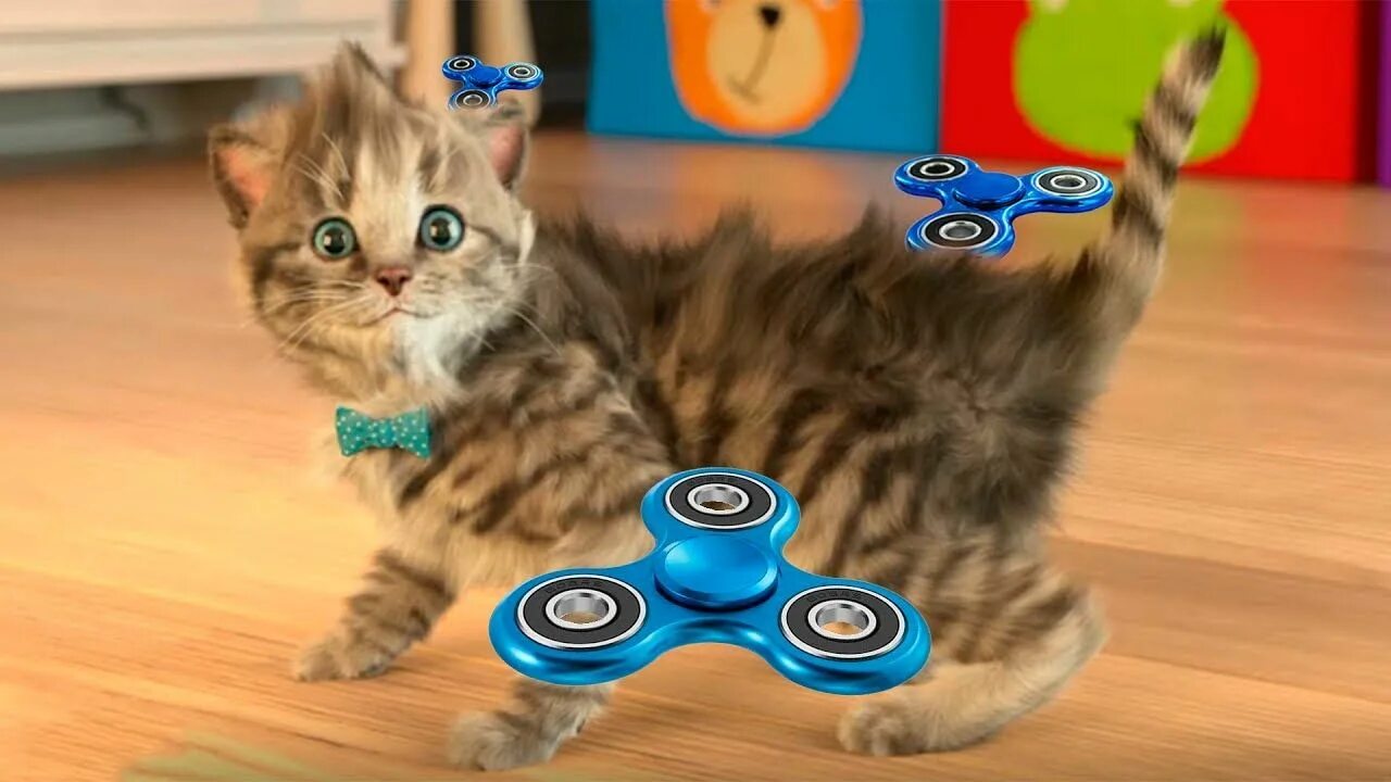 Смешные котята видео. Видео как играют кошки. Кошачий боулинг. Смешные котята. Играющие котики видео.