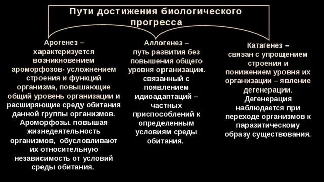 Назовите пути биологического прогресса регресса примеры Пути эволюции биология