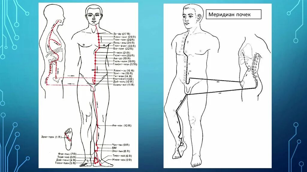Меридиан почек точки расположения. Меридиан почек точки акупунктуры. Меридиан почек в китайской медицине точки.