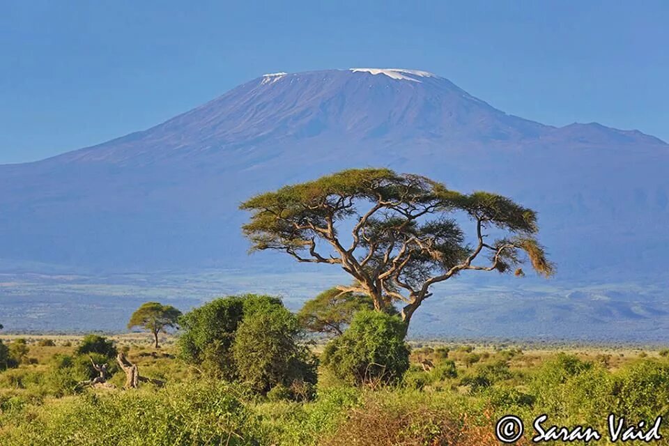 Африка вулкан килиманджаро. Кения гора килиманджаро. Килиманджаро расположен в пределах. Высота вулкана килиманджаро. Килиманджаро расположен в пределах.